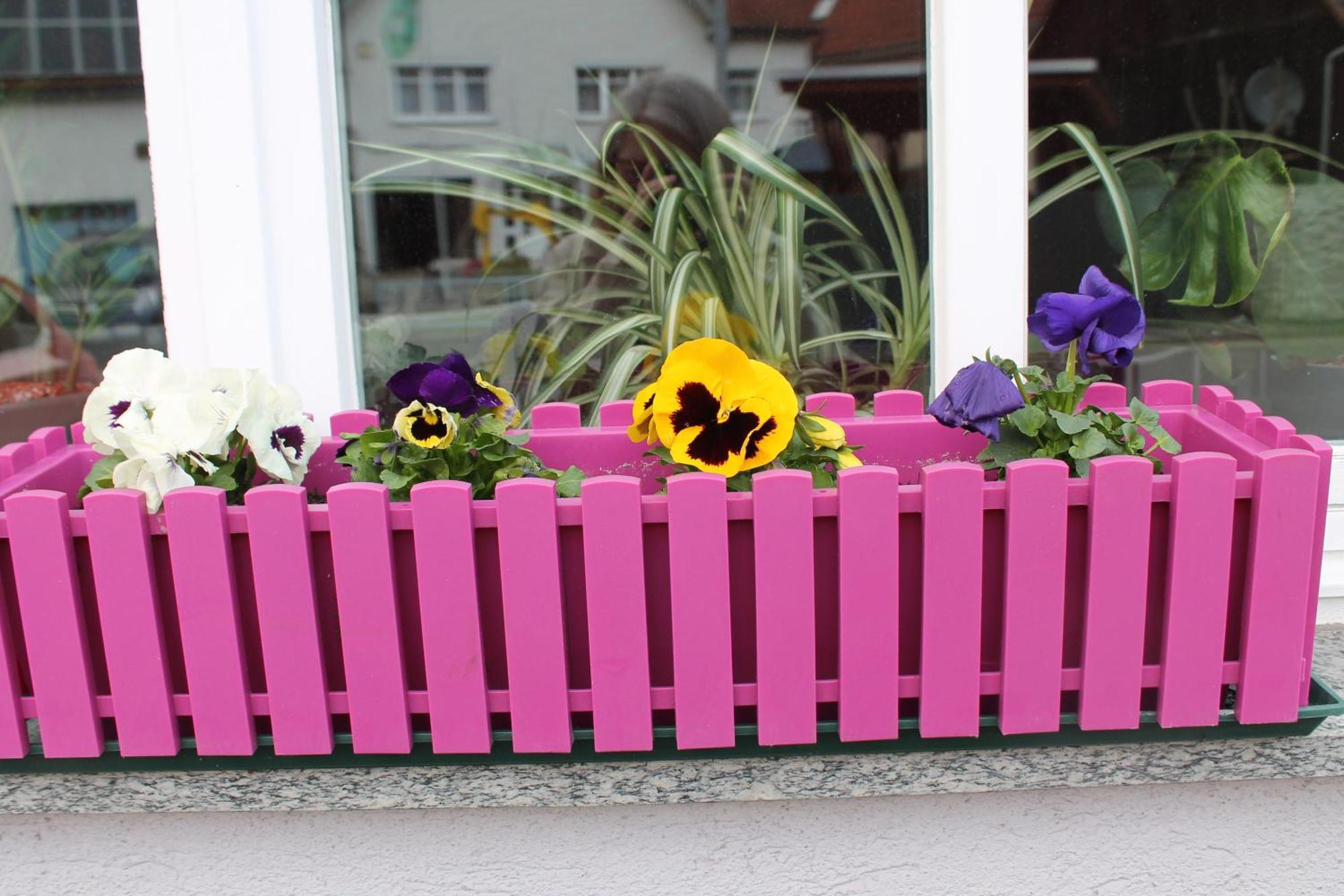 Apartment Alte Post *